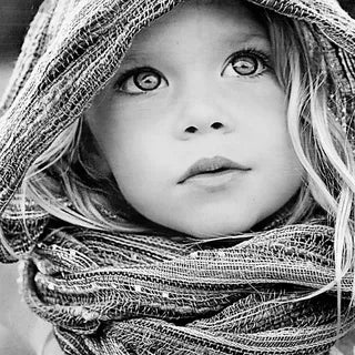 files/i_0a92ce86-bb88-46d2-ba3d-1fbe1cb5145e.webp